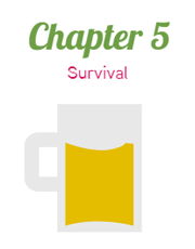 chapter-5